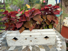 Load image into Gallery viewer, Antique wood box- Diamond cutouts
