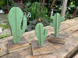 Individual cacti