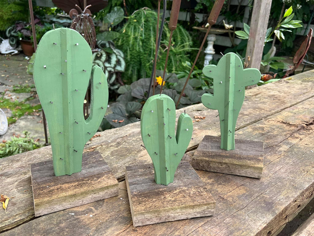 Individual cacti