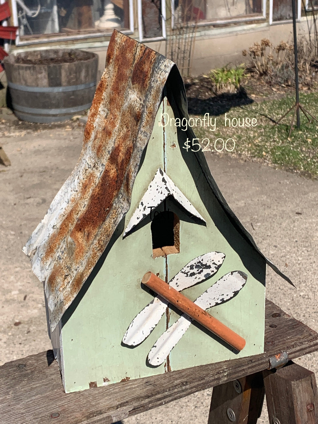 Dragonfly house